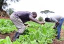 Ministère de l’Agriculture : Plus de 207 milliards pour le budget de 2024