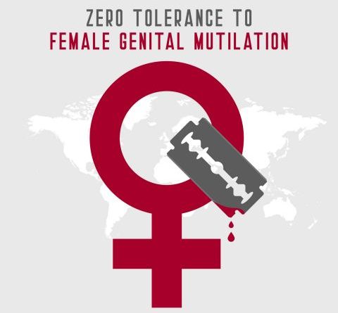 Mutilations génitales féminines à Sédhiou : Le réseau des jeunes implique les journalistes et influenceurs dans la lutte